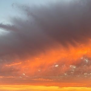 Meet your Posher, Leila